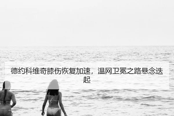 de-yue-ke-wei-qi-xi-shang-hui-fu-jia-su-wen-wang-wei-mian-zhi-lu-xuan-nian-die-qi-2-202.jpg