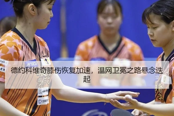de-yue-ke-wei-qi-xi-shang-hui-fu-jia-su-wen-wang-wei-mian-zhi-lu-xuan-nian-die-qi-3-743.jpg