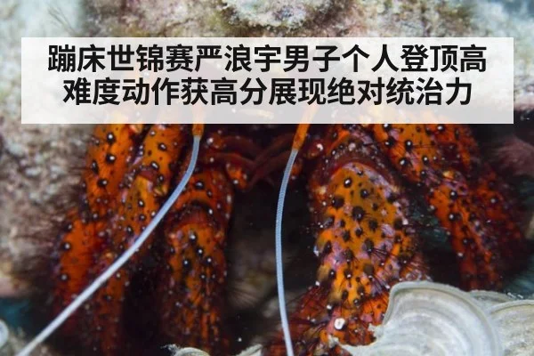 蹦床世锦赛严浪宇男子个人登顶高难度动作获高分展现绝对统治力